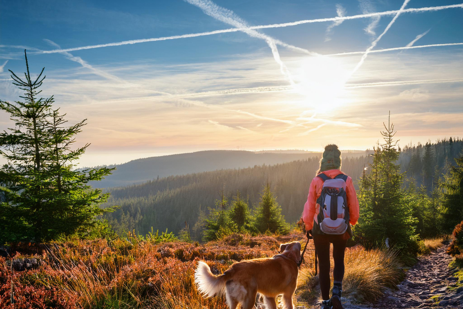 Herbst Harz Wandern Frau mit Hund Ausblick