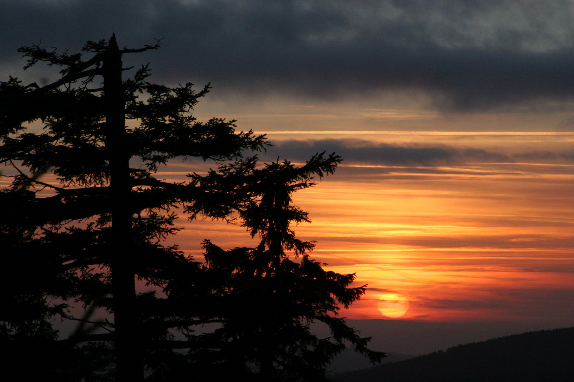 Natur erleben im Harz