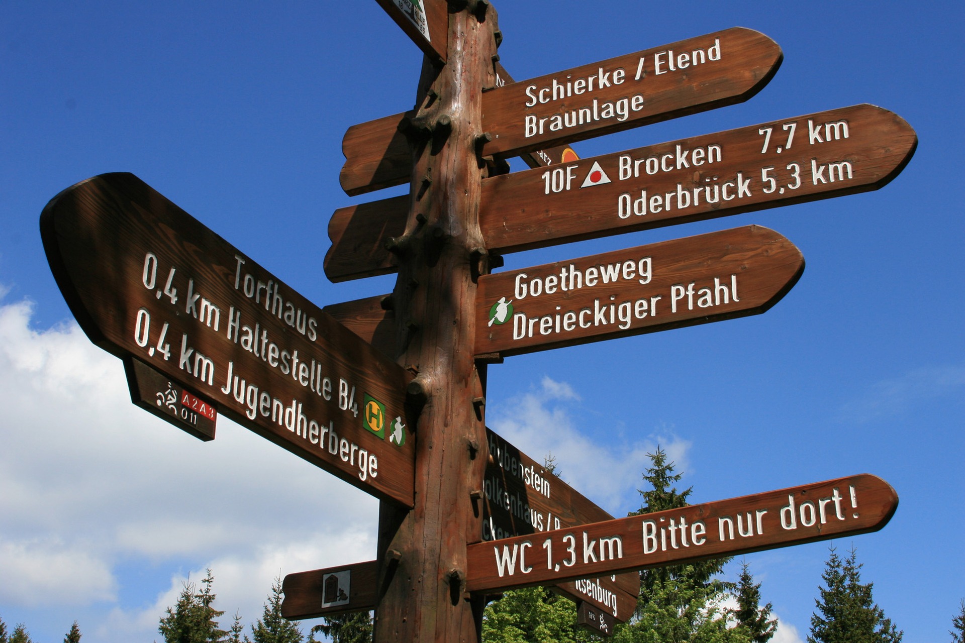 Nationalpark Harz - Bergwildnis entdecken