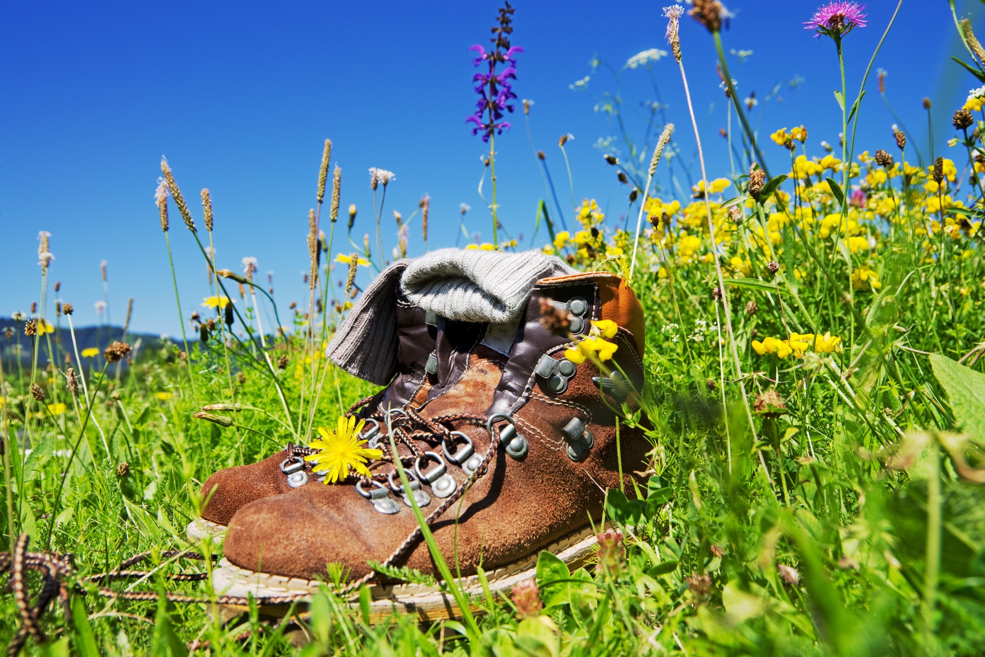 Wanderschuhe auf der Wiese