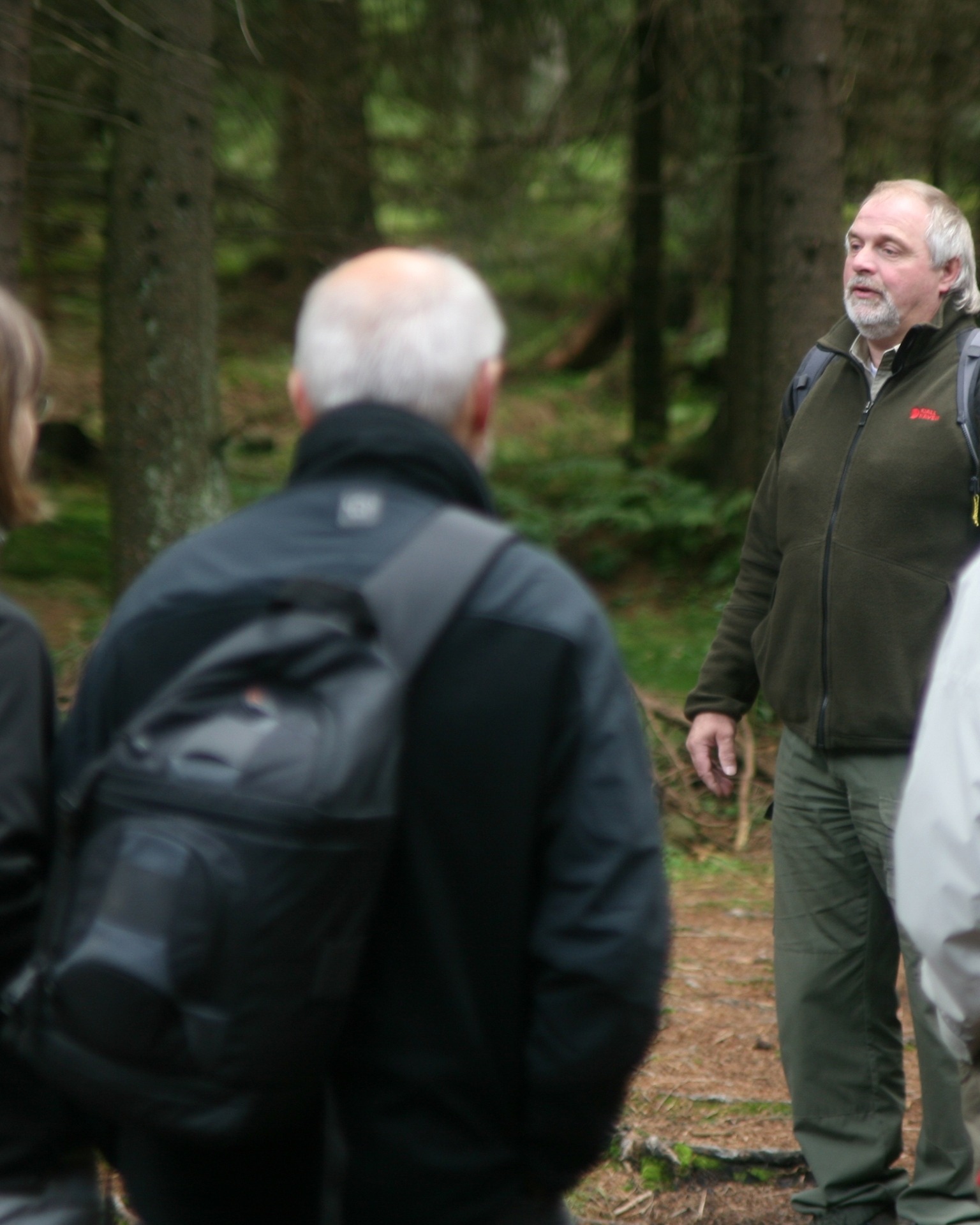 Geführte Harz Wanderung mit einem Nationalpark-Ranger