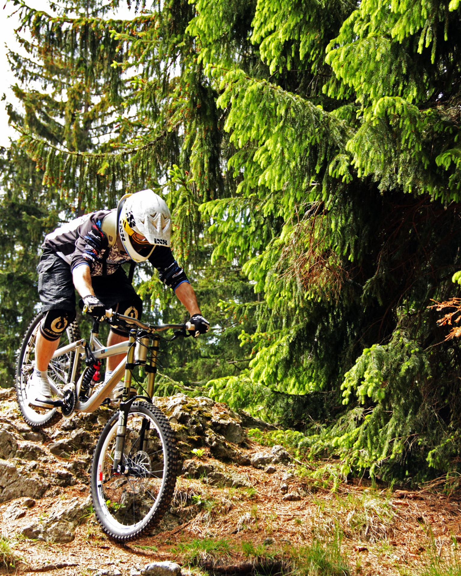 Über Stock und Stein beim Mountainbiken im Harz