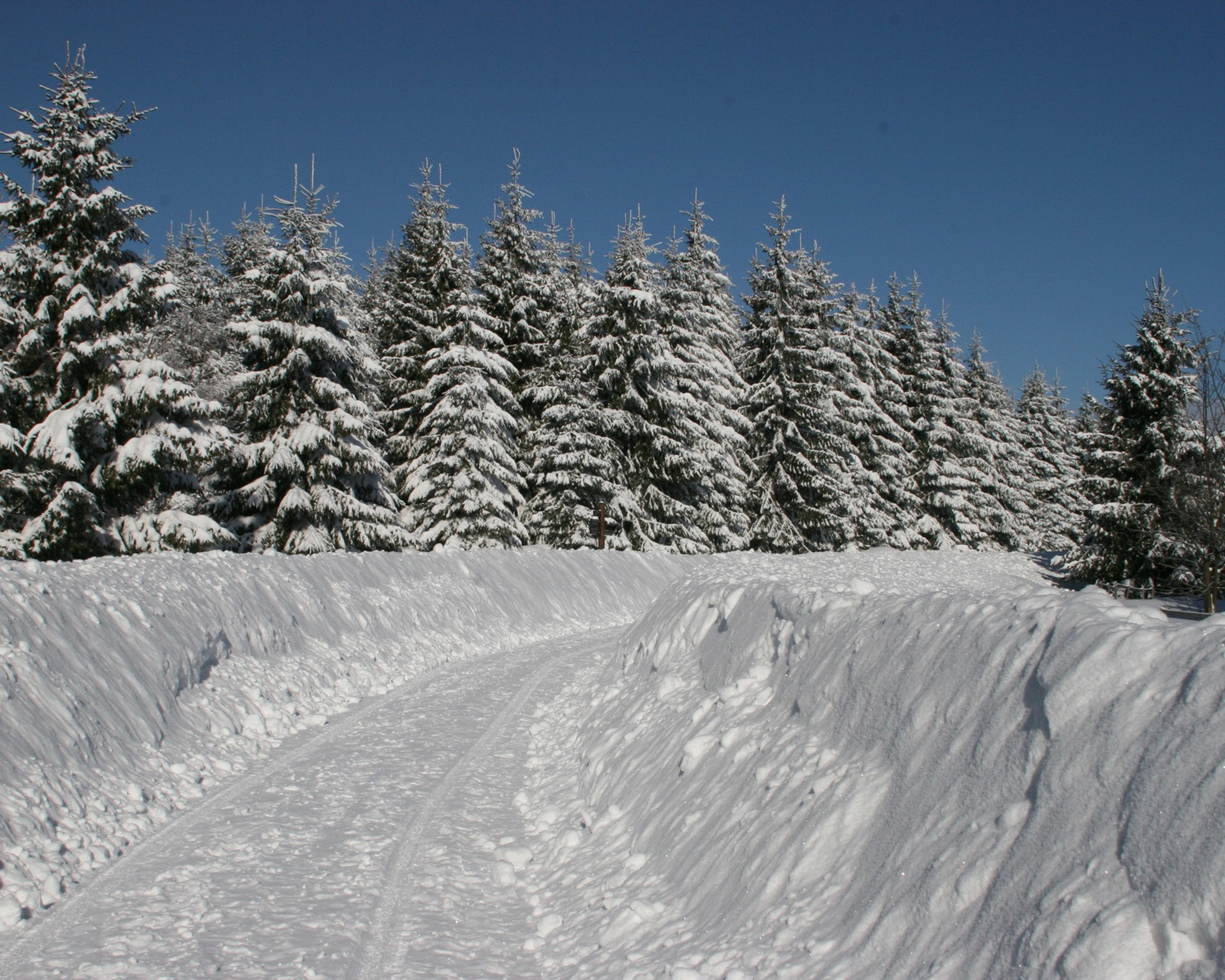 Winterwandern in Hohegeiß