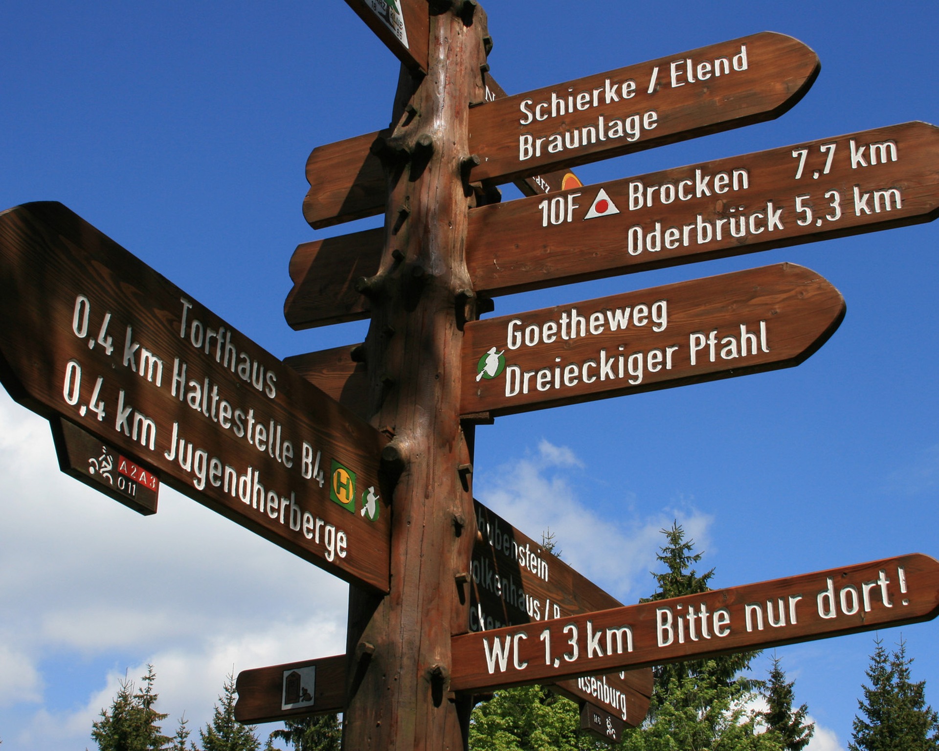Nationalpark Harz - Bergwildnis entdecken