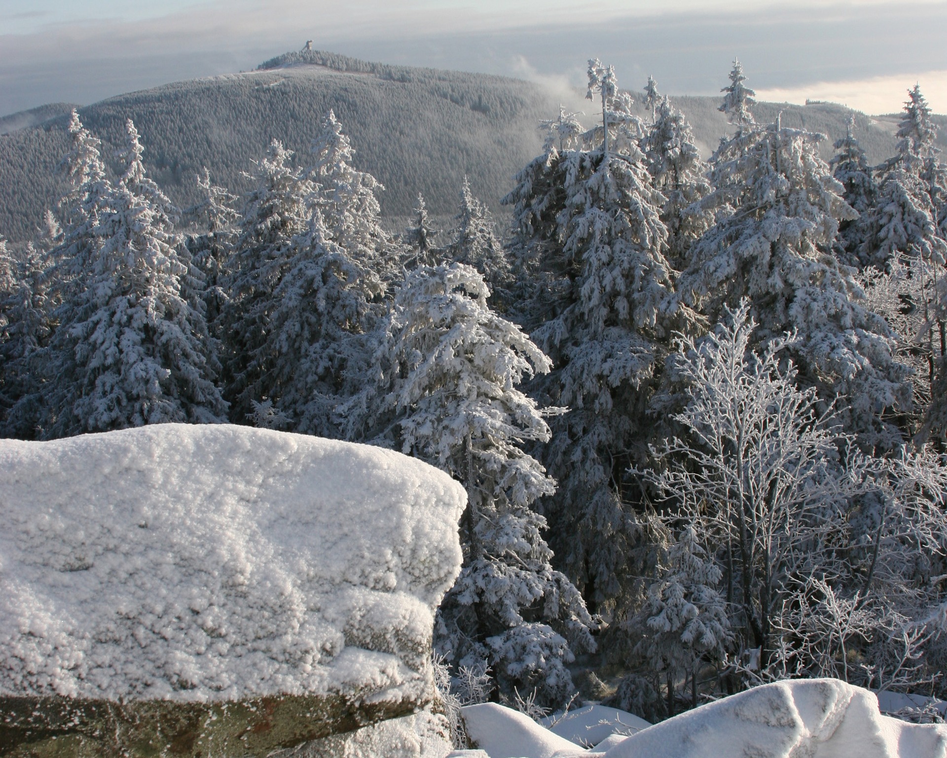 Naturerlebnis bei Skiwanderungen im Harz
