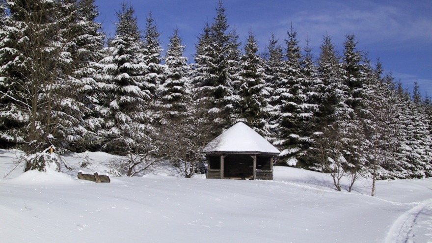 Winterwandern in der Harzlandschaft