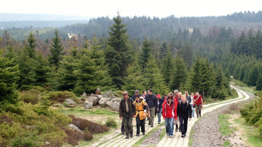 Wandern im Harz: Brockenwanderung