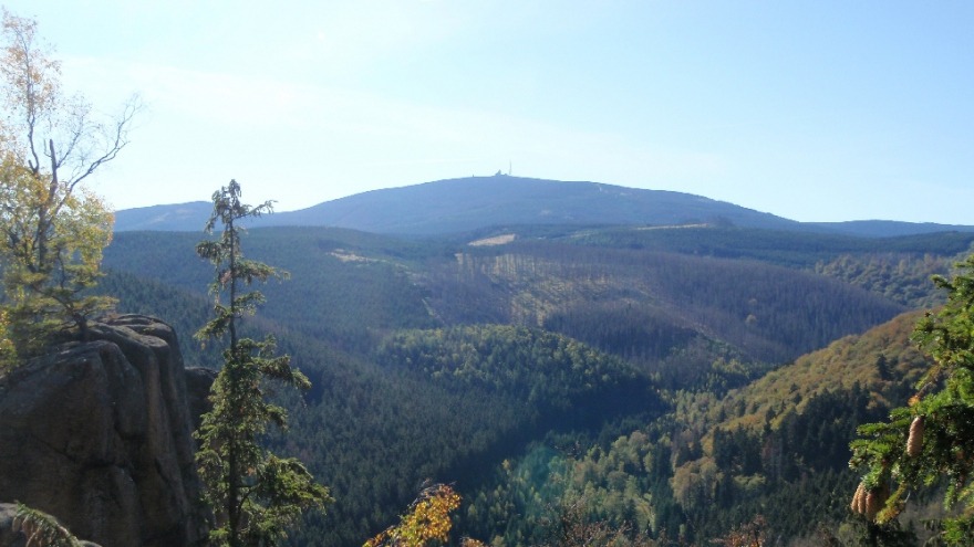 Blick von der Rabenklippe zum Brocken Harz