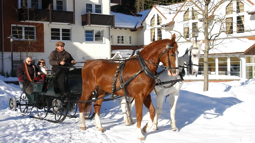 Pferdeschlitten Harz