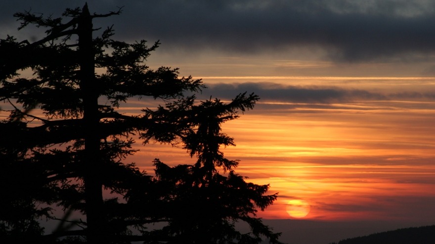 Natur erleben im Harz