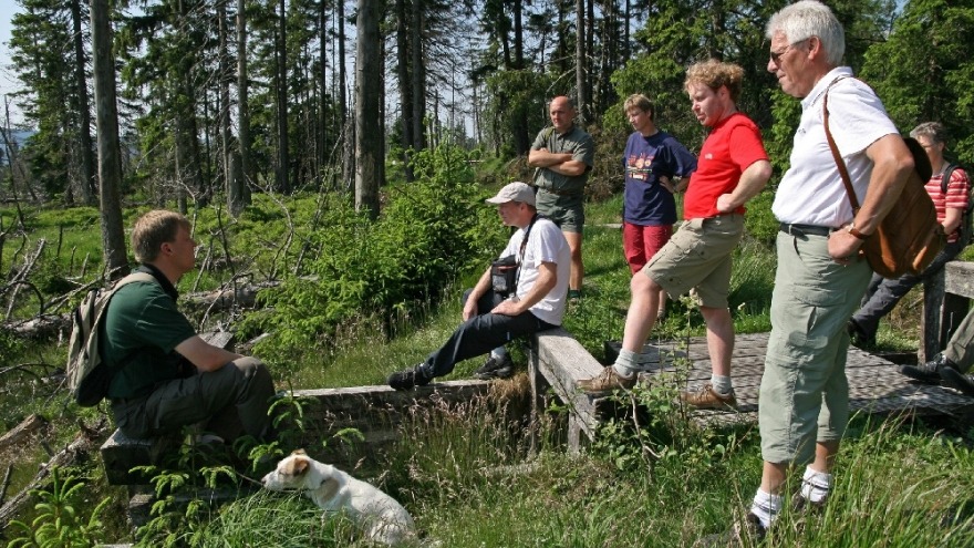 Nationalpark Harz Erlebnisführungen - Foto: Katja John
